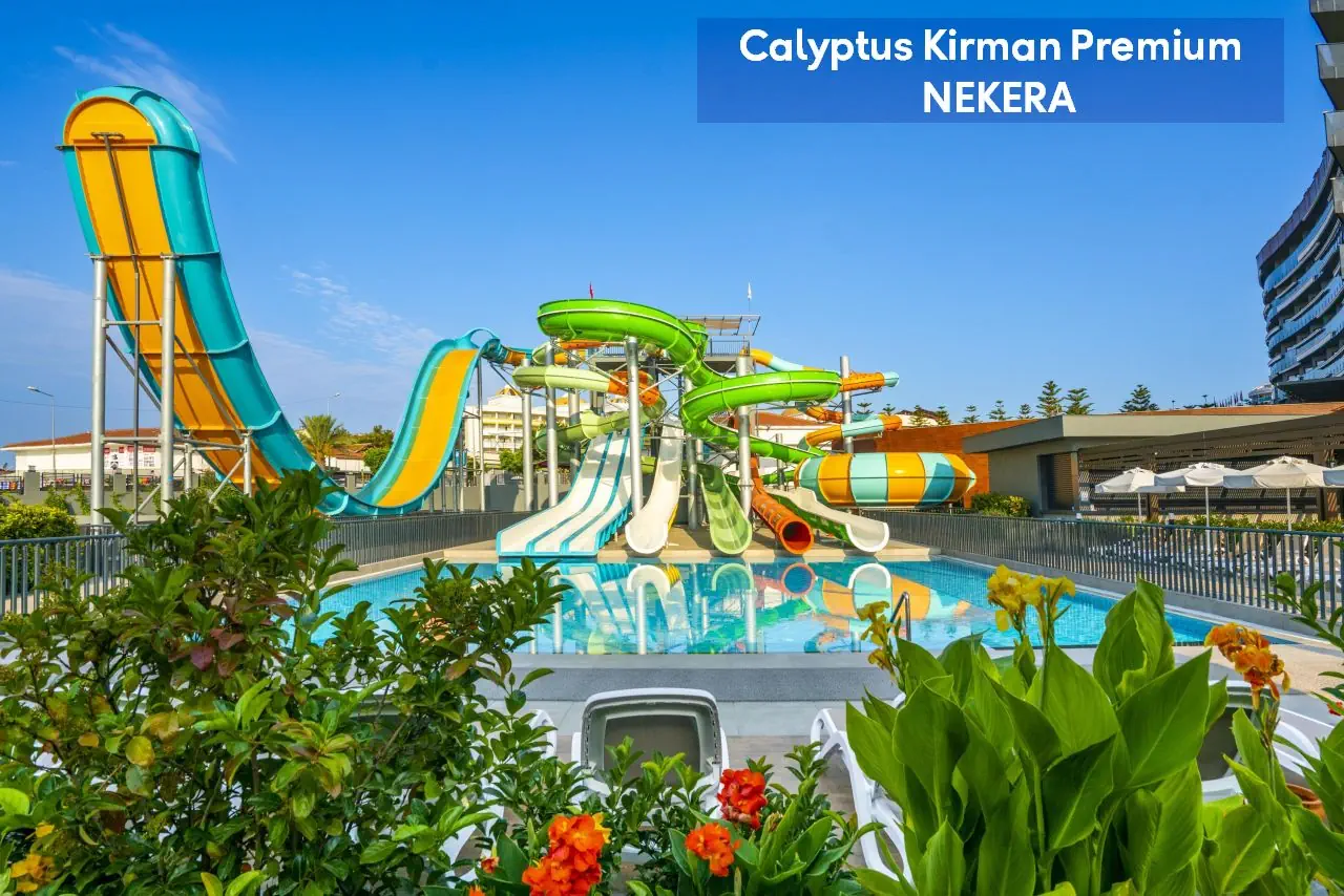 Calyptus Kirman Premium - zdjęcie 7
