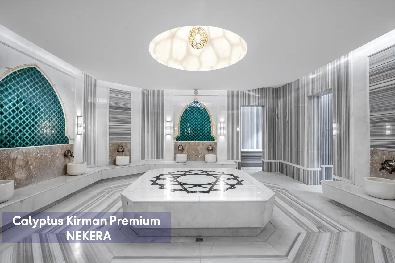 Calyptus Kirman Premium - zdjęcie 45