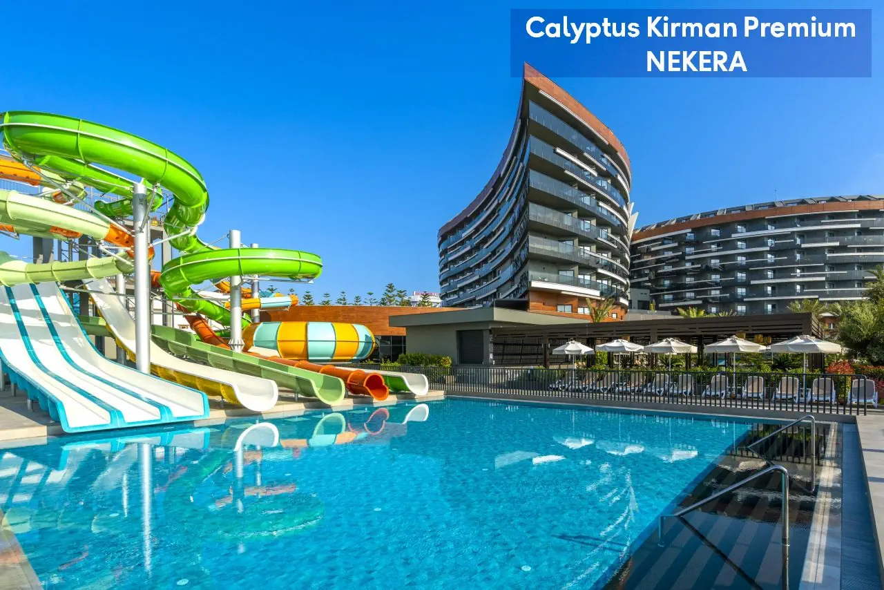 Calyptus Kirman Premium - zdjęcie 2