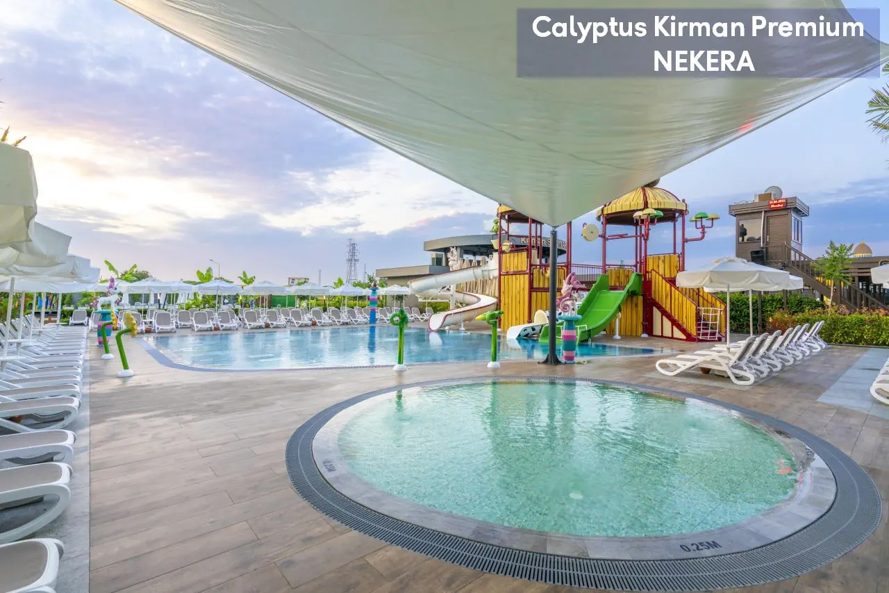 Calyptus Kirman Premium - zdjęcie 8