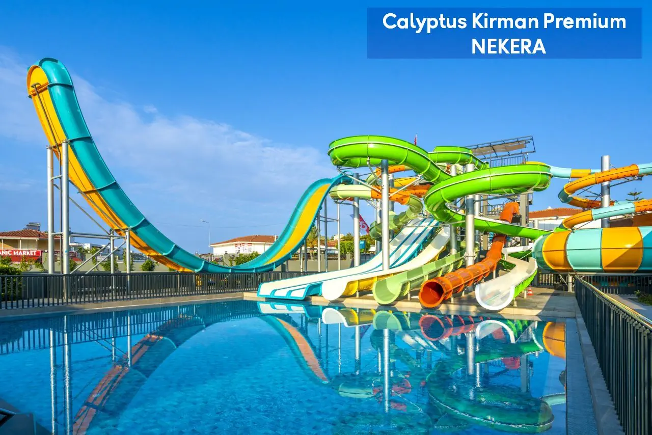 Calyptus Kirman Premium - zdjęcie 3