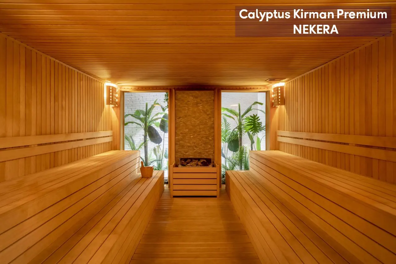 Calyptus Kirman Premium - zdjęcie 44