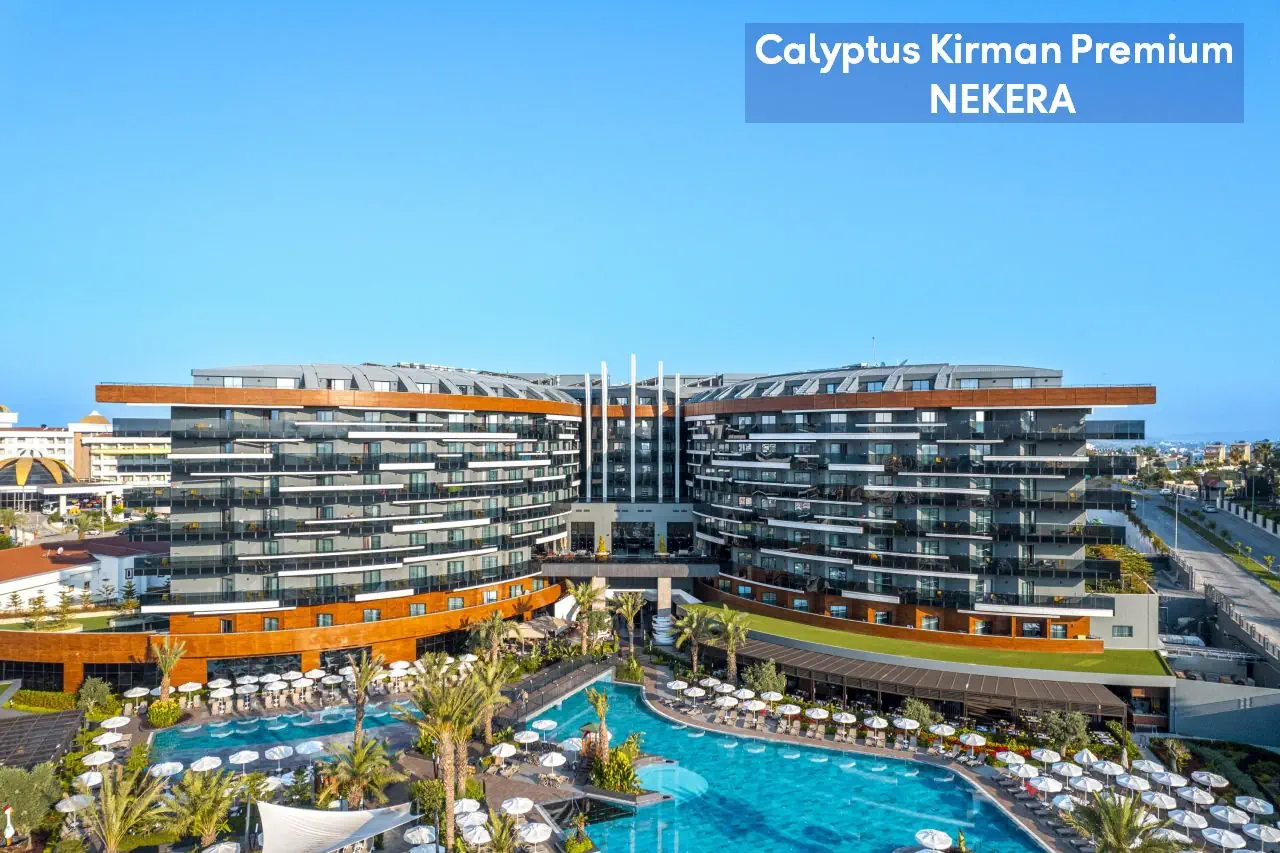 Calyptus Kirman Premium - zdjęcie 6
