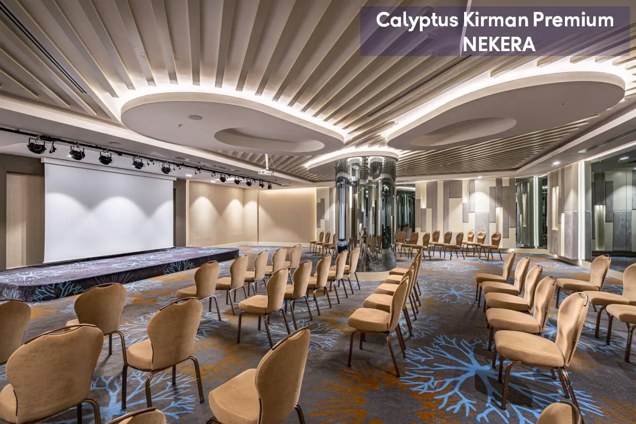 Calyptus Kirman Premium - zdjęcie 48
