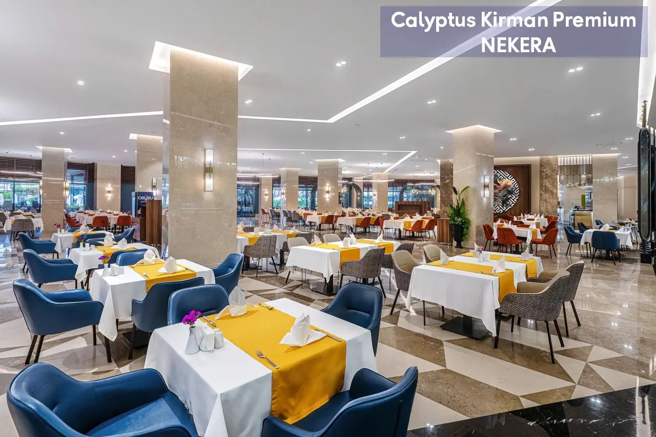 Calyptus Kirman Premium - zdjęcie 13