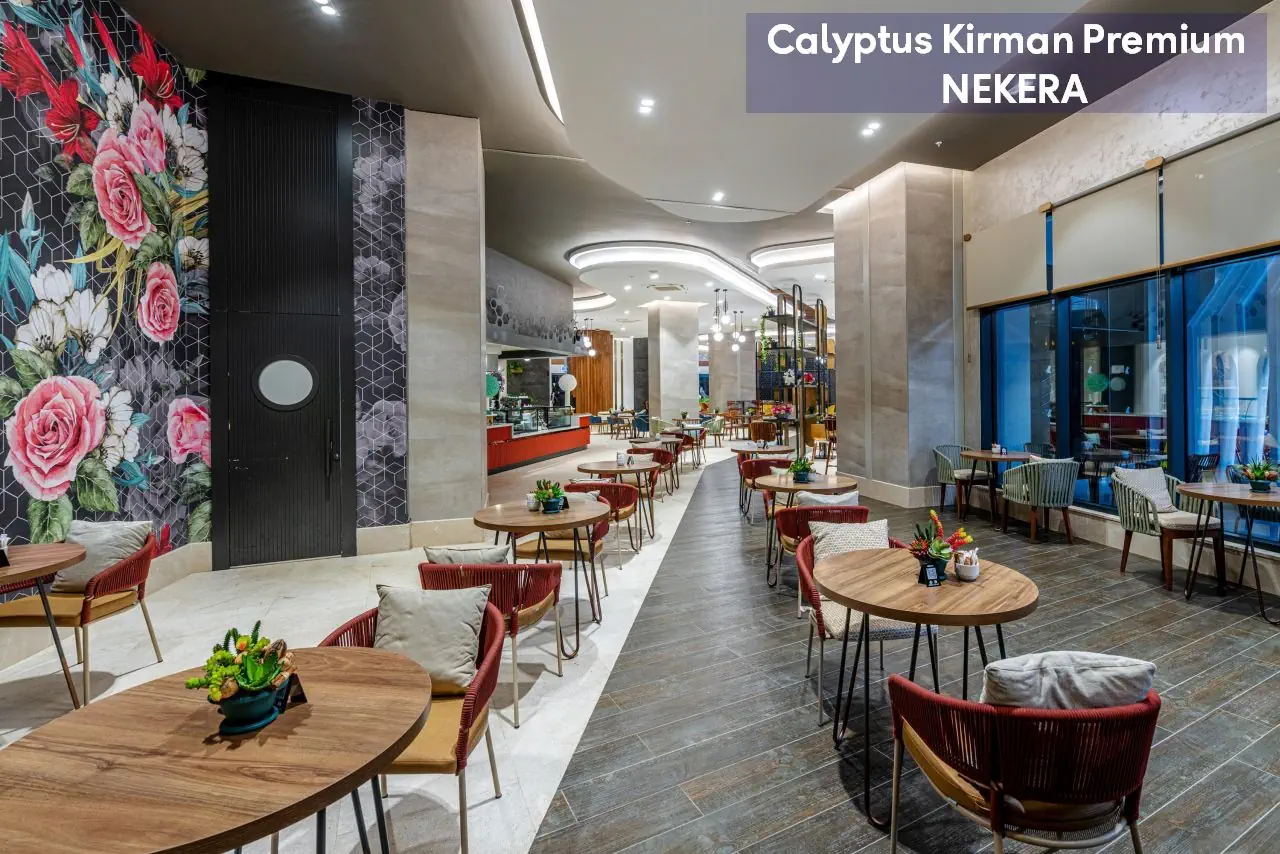 Calyptus Kirman Premium - zdjęcie 21