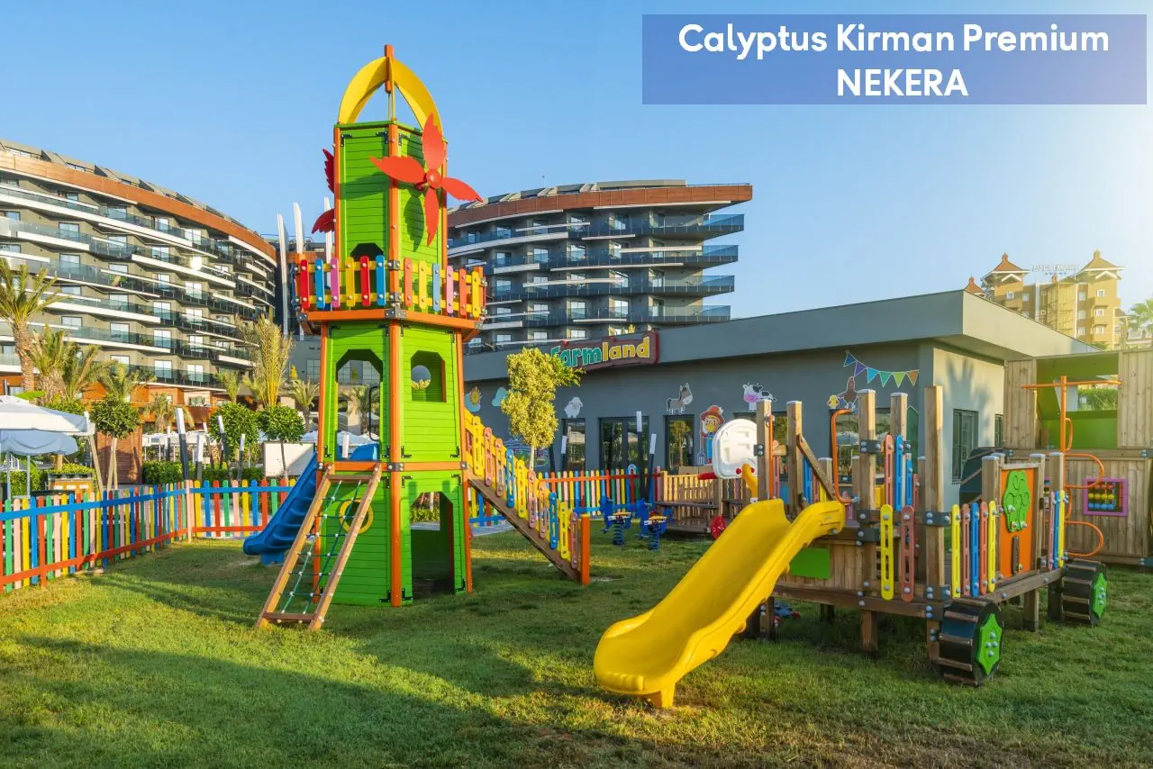 Calyptus Kirman Premium - zdjęcie 32