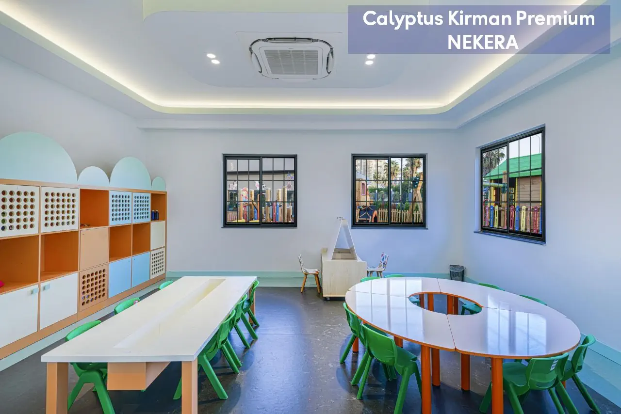 Calyptus Kirman Premium - zdjęcie 38