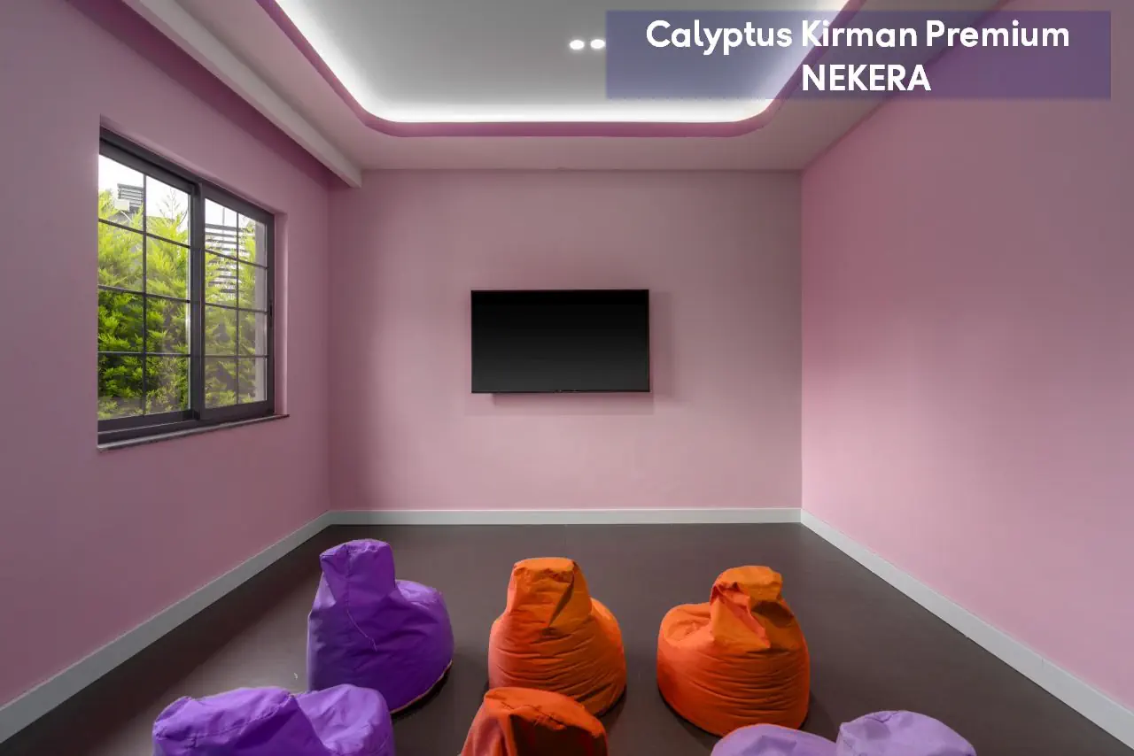 Calyptus Kirman Premium - zdjęcie 33