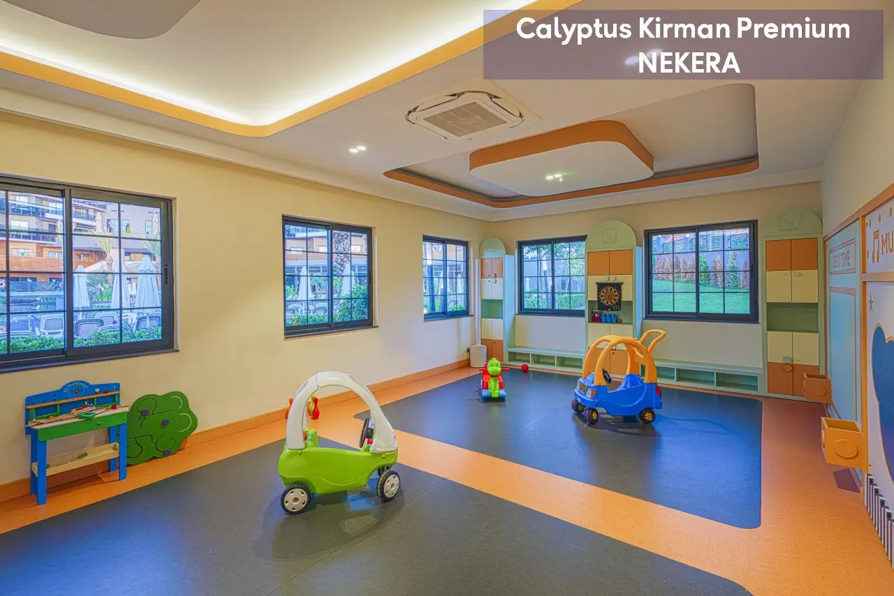 Calyptus Kirman Premium - zdjęcie 37