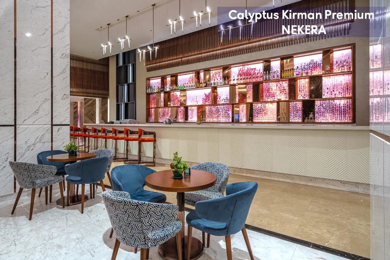 Calyptus Kirman Premium - zdjęcie 22