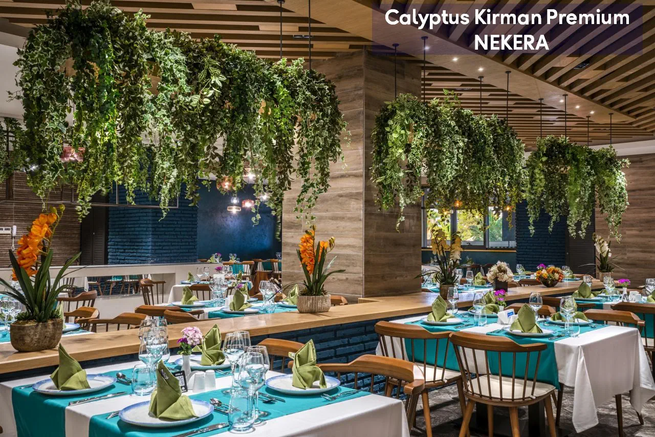 Calyptus Kirman Premium - zdjęcie 17