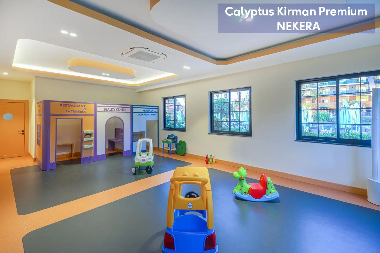 Calyptus Kirman Premium - zdjęcie 34