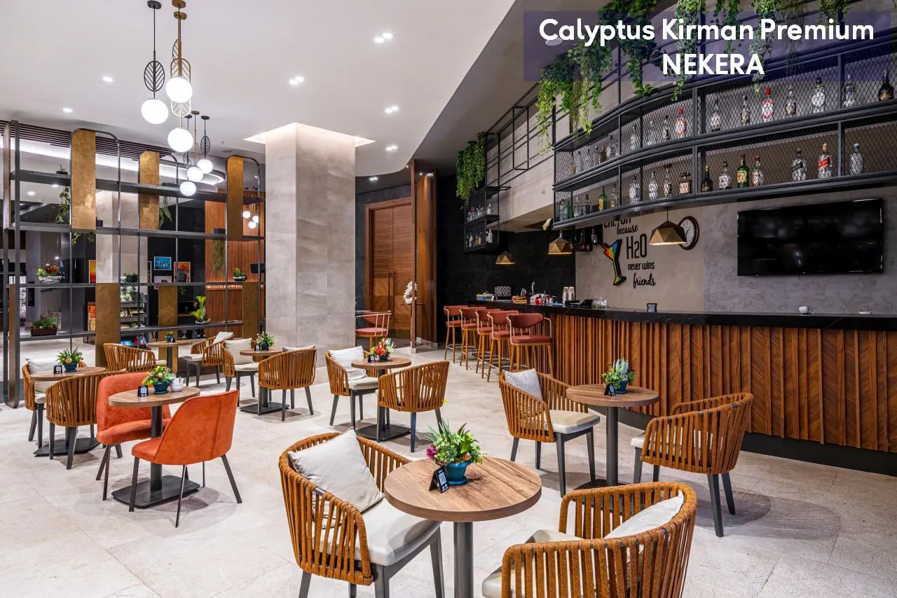 Calyptus Kirman Premium - zdjęcie 20