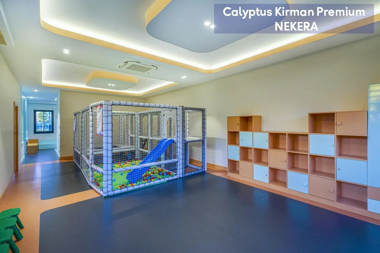 Calyptus Kirman Premium - zdjęcie 35