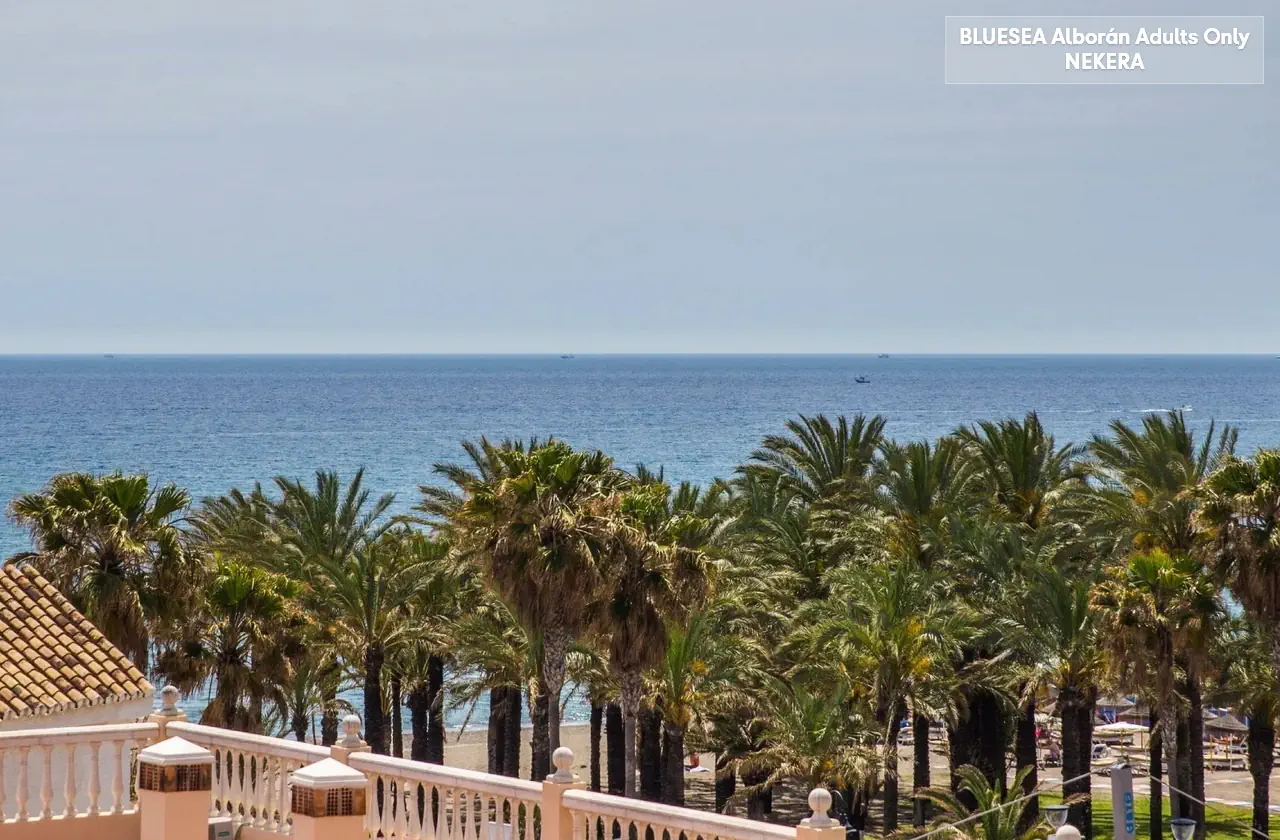 BLUESEA ALBORAN