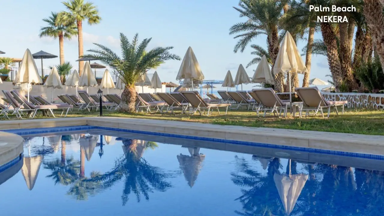 Palm Beach - zdjęcie 8