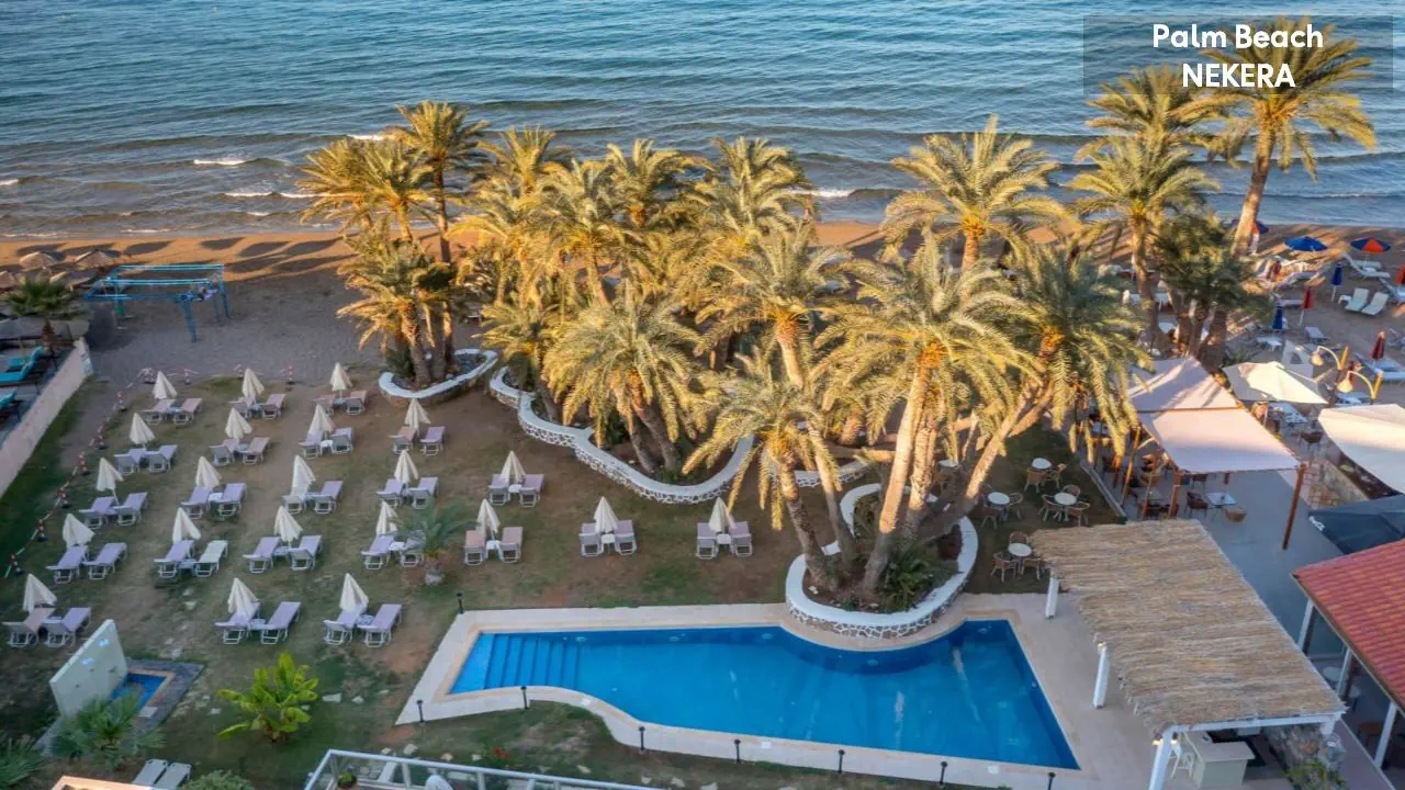 Palm Beach - zdjęcie 5