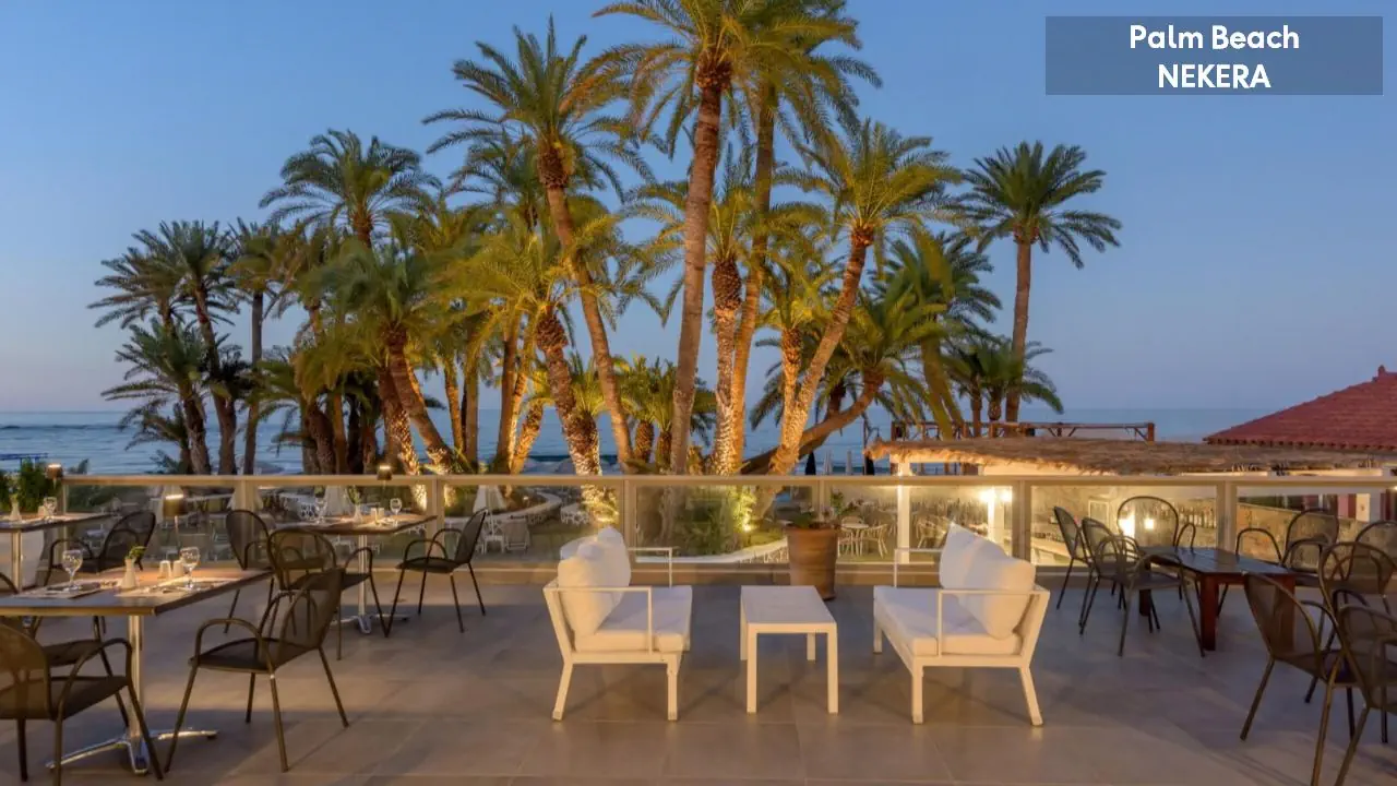 Palm Beach - zdjęcie 12