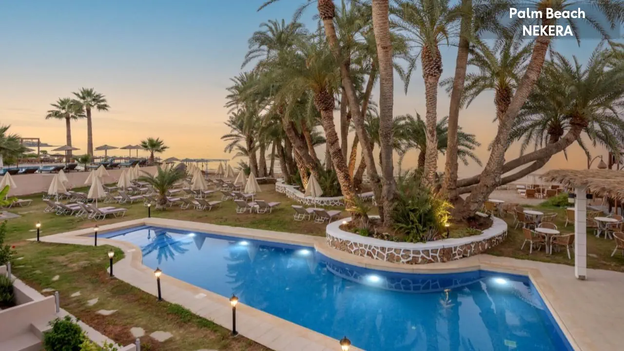Palm Beach - zdjęcie 6