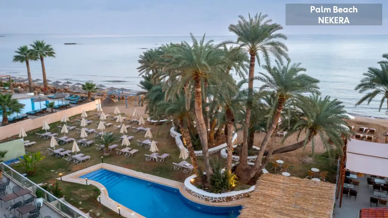 Palm Beach - zdjęcie 7