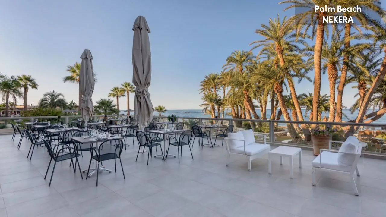Palm Beach - zdjęcie 11