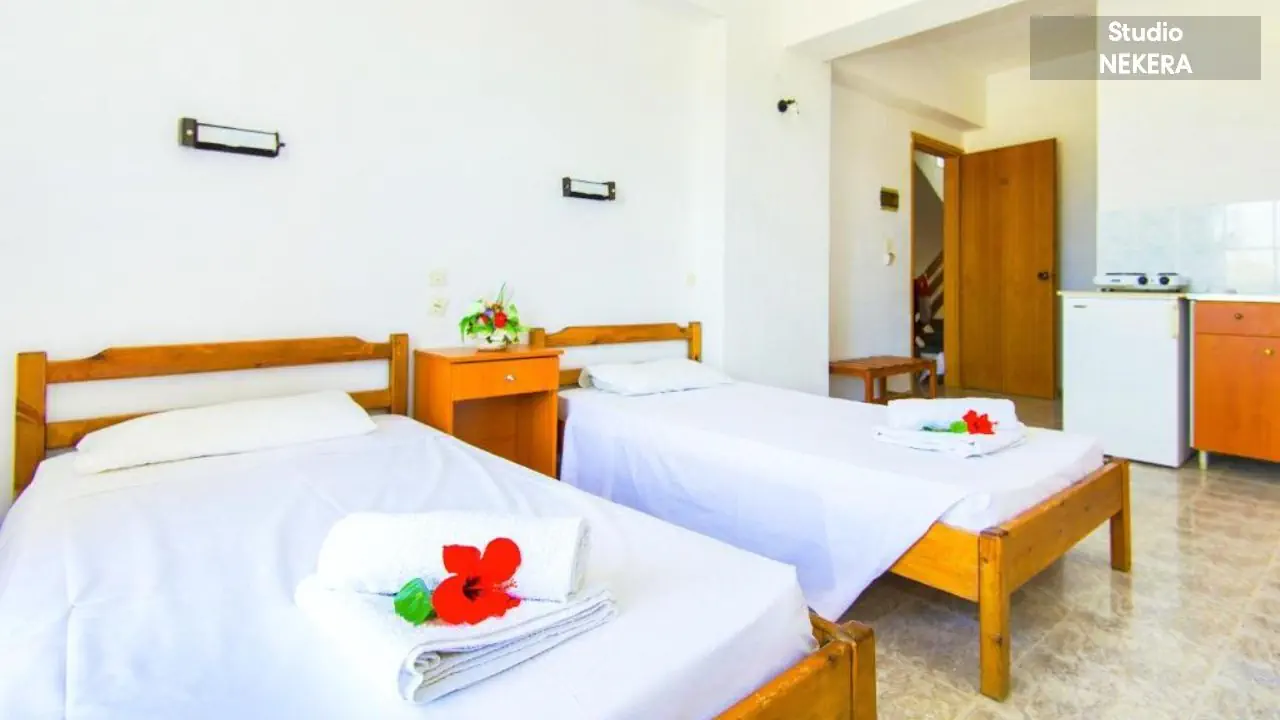 HOTEL: MN BUTTERFLY STUDIOS