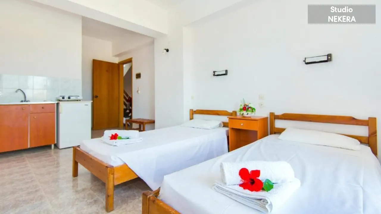 HOTEL: MN BUTTERFLY STUDIOS