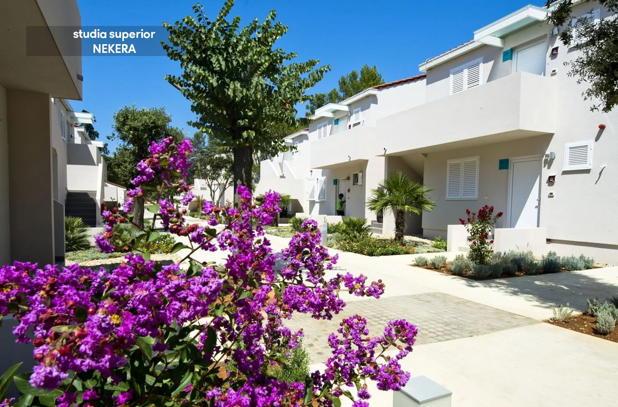 Zaton Holiday Resort Apartments