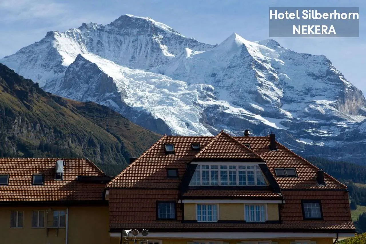 Silberhorn (ex. Best Western Silberhorn) - zdjęcie 3