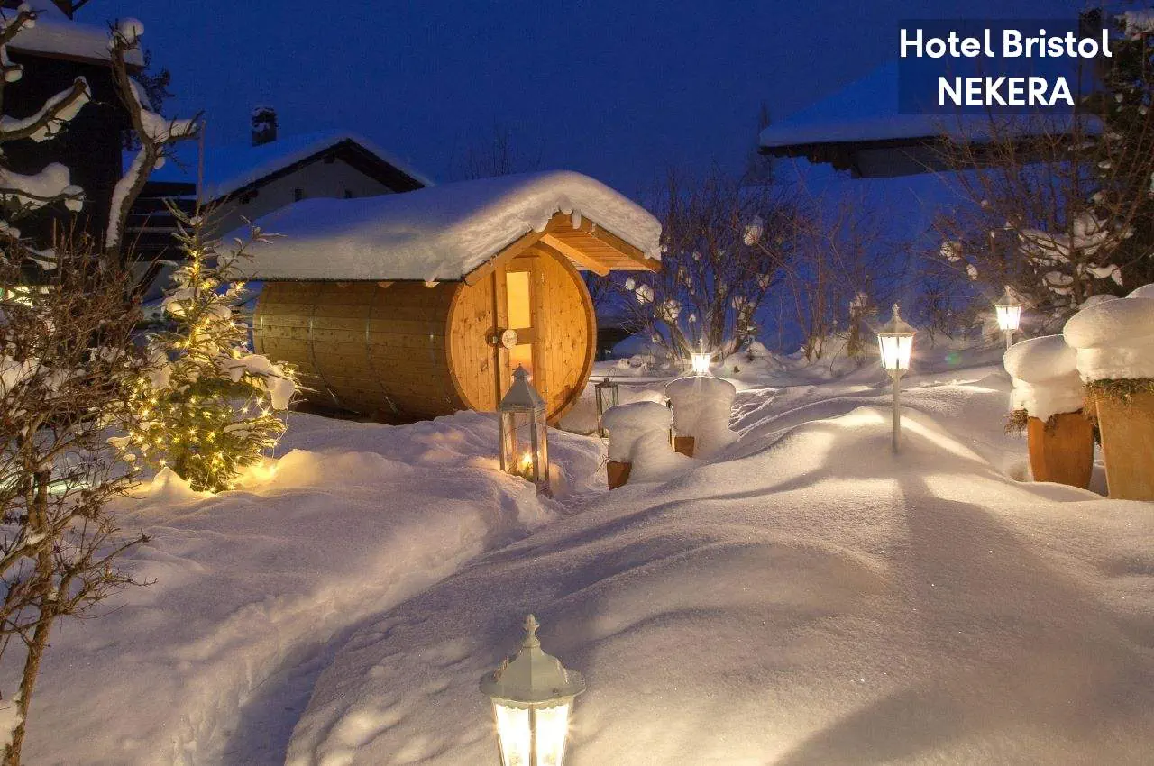 Bristol (Adelboden) - zdjęcie 7