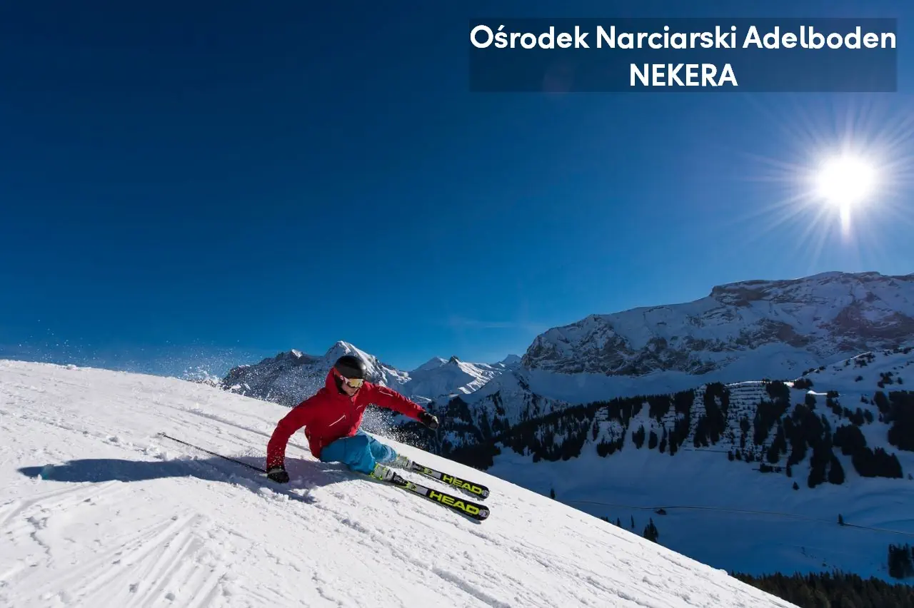 Bristol (Adelboden) - zdjęcie 3