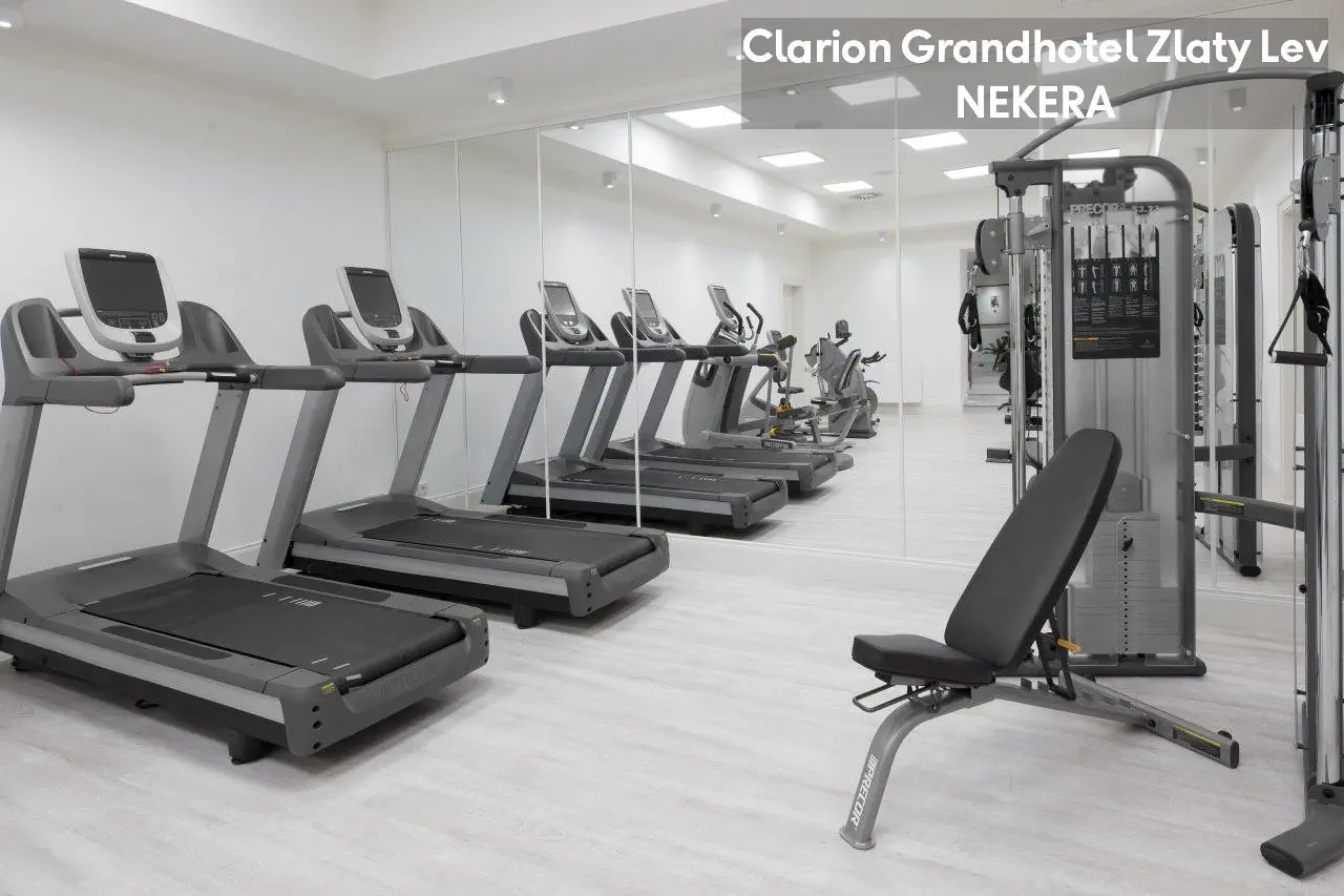 Clarion Grandhotel Zlaty Lev - zdjęcie 15