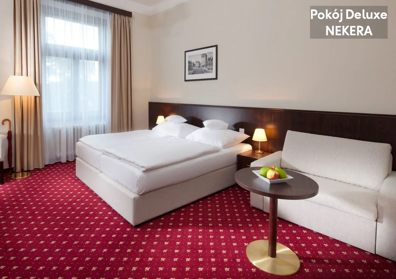 Clarion Grandhotel Zlaty Lev - zdjęcie 16