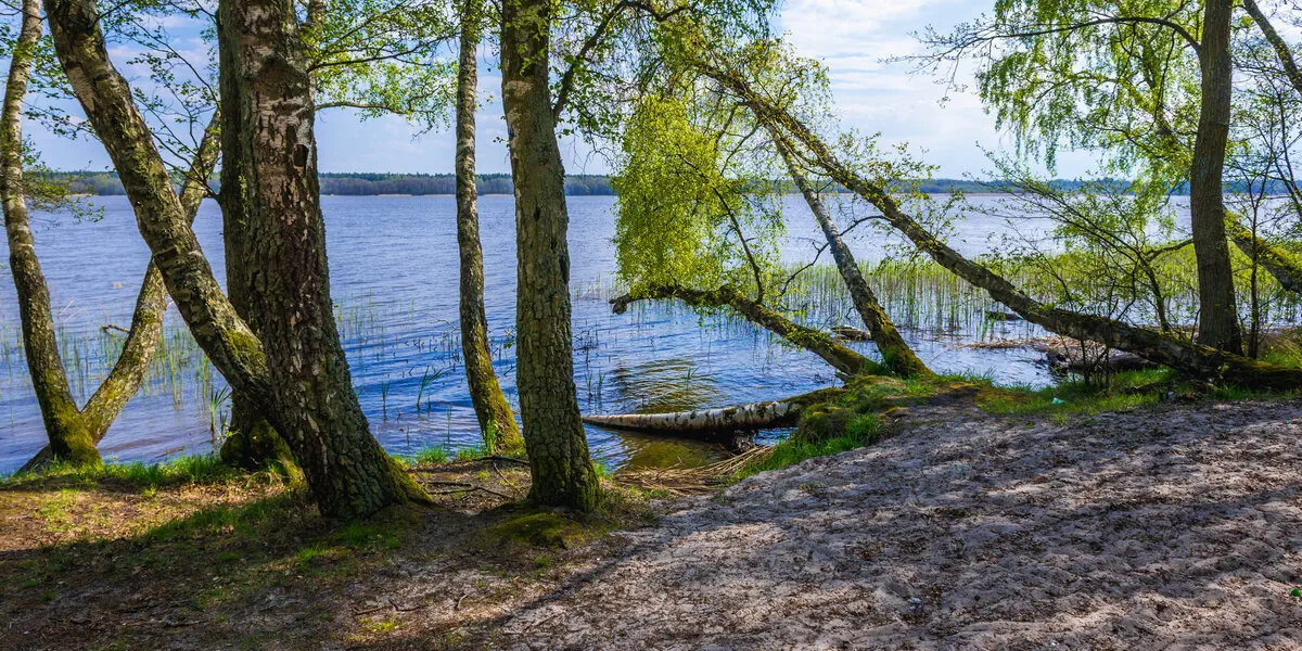 Vacanza Park - zdjęcie 3
