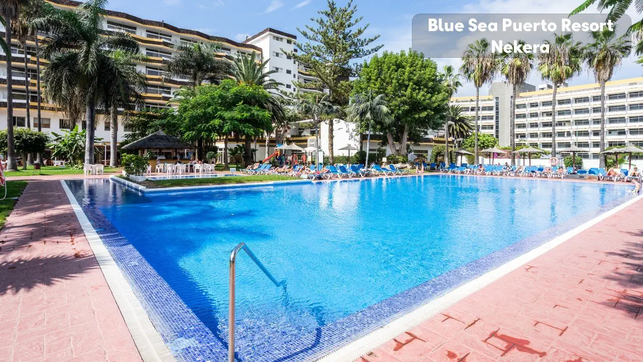 Blue Sea Puerto Resort - zdjęcie 3