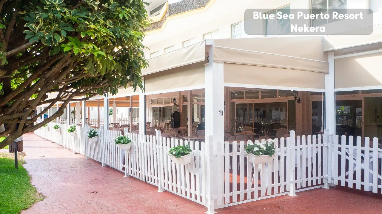 Blue Sea Puerto Resort - zdjęcie 6
