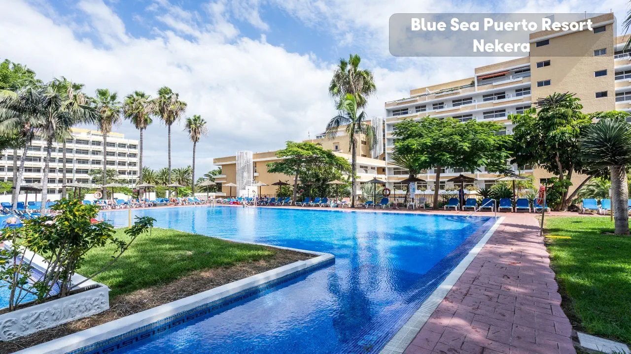 Blue Sea Puerto Resort - zdjęcie 25