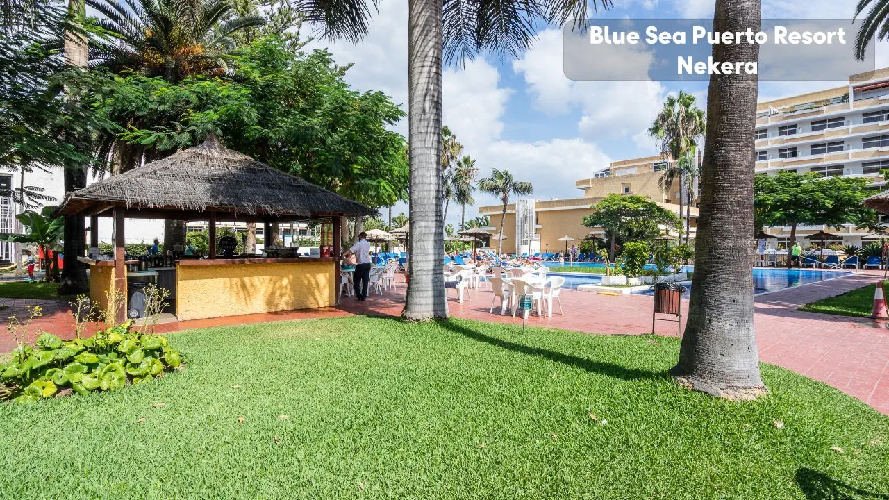 Blue Sea Puerto Resort - zdjęcie 5