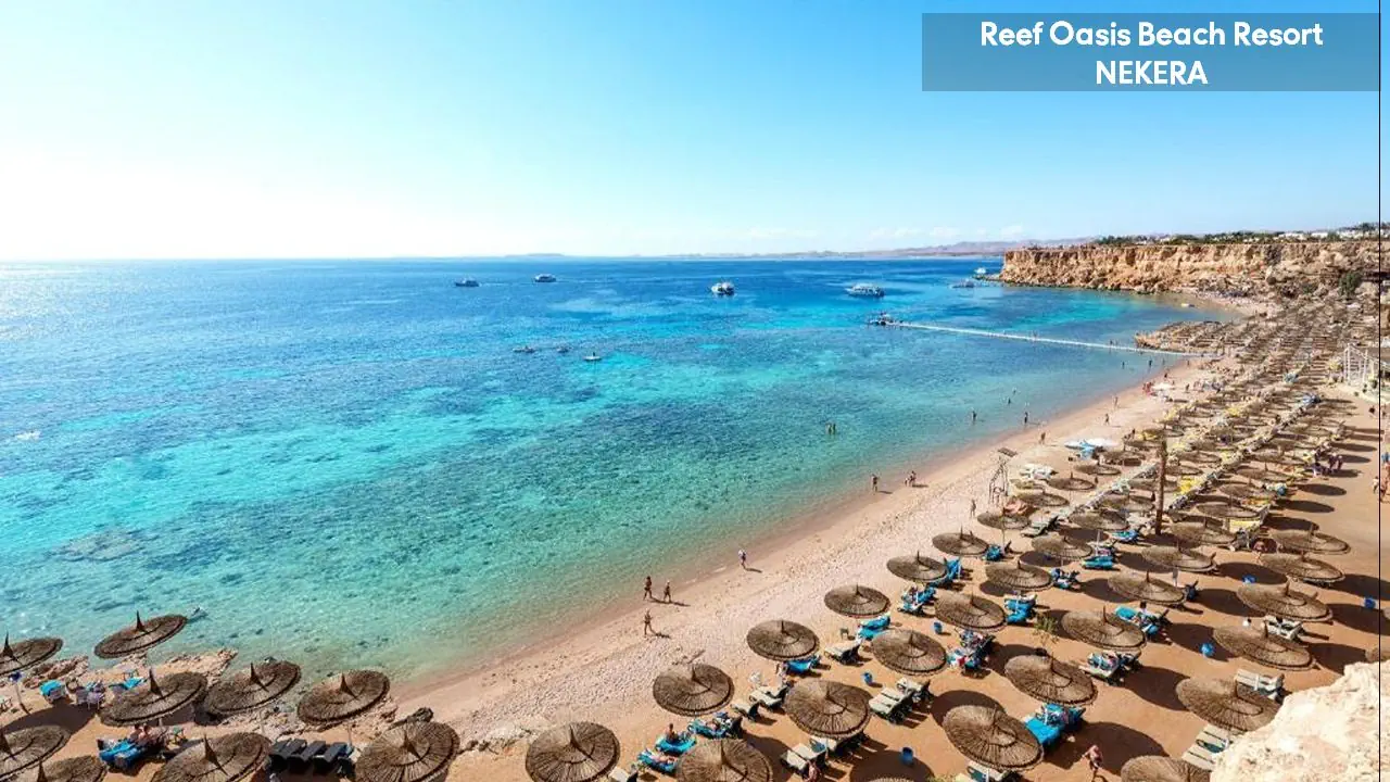 Reef Oasis Beach Resort - zdjęcie 2