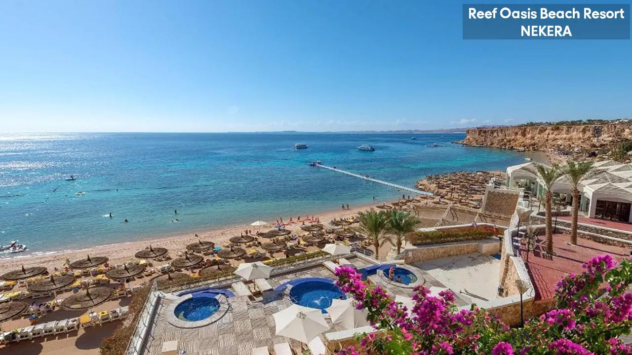 Reef Oasis Beach Resort - zdjęcie 15