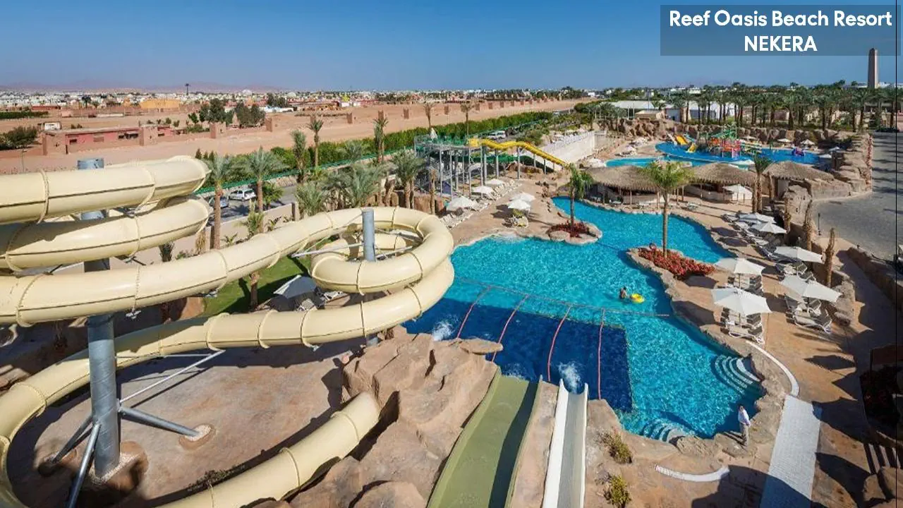 Reef Oasis Beach Resort - zdjęcie 10