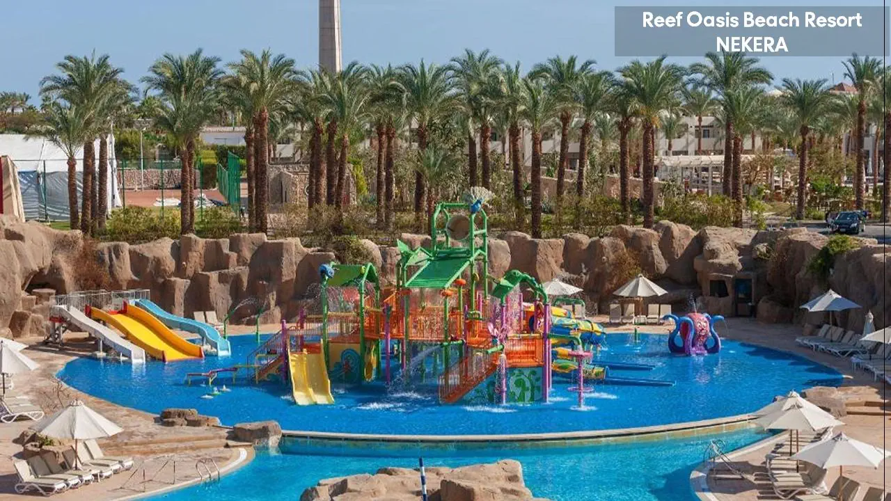 Reef Oasis Beach Resort - zdjęcie 3
