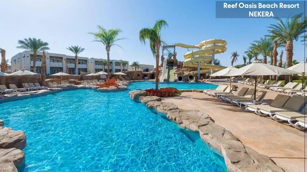 Reef Oasis Beach Resort - zdjęcie 11