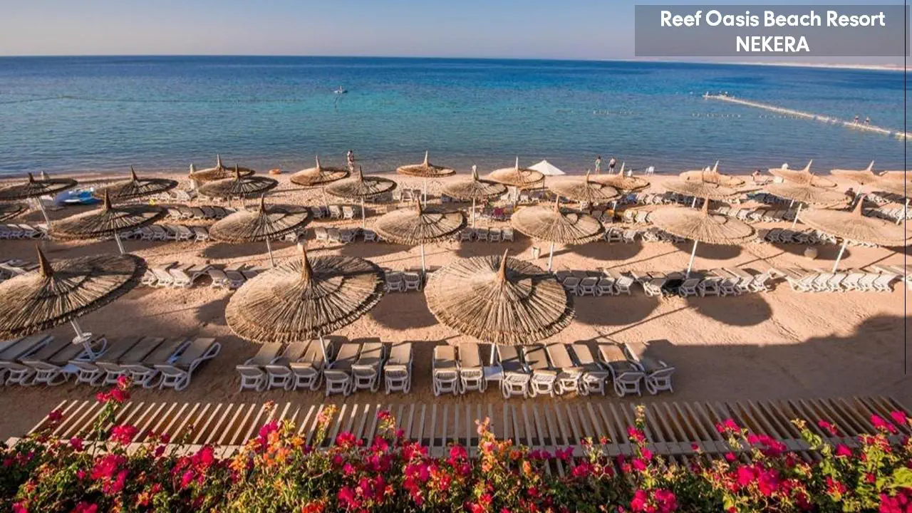 Reef Oasis Beach Resort - zdjęcie 9