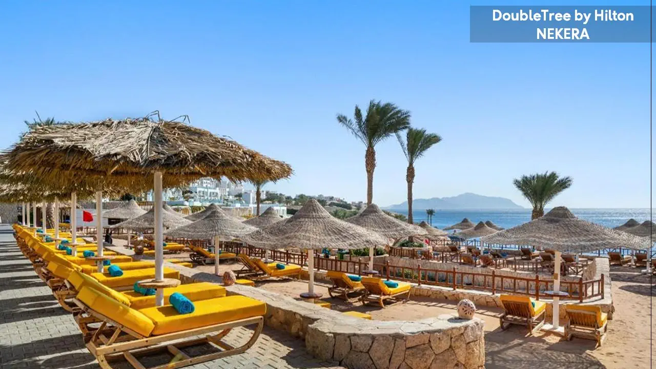 Doubletree by Hilton Sharks Bay - zdjęcie 11
