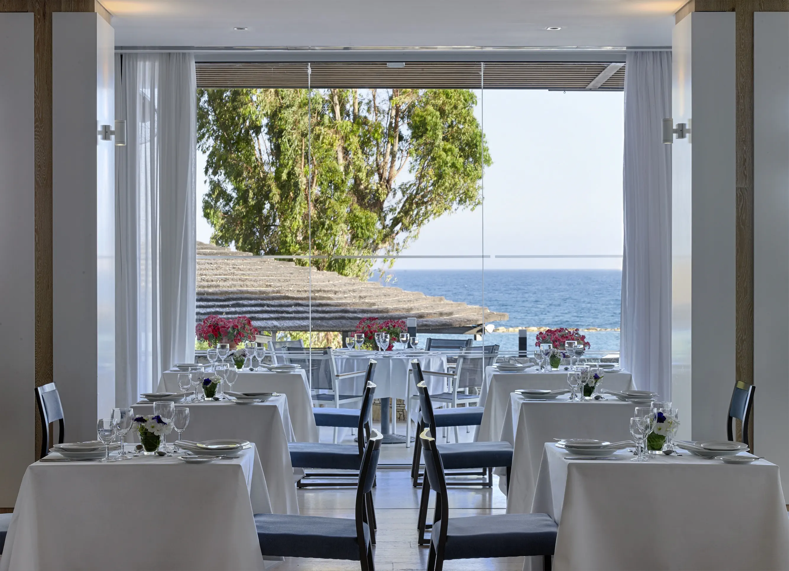 The Royal Apollonia (ex Louis Apollonia Beach) - zdjęcie 35