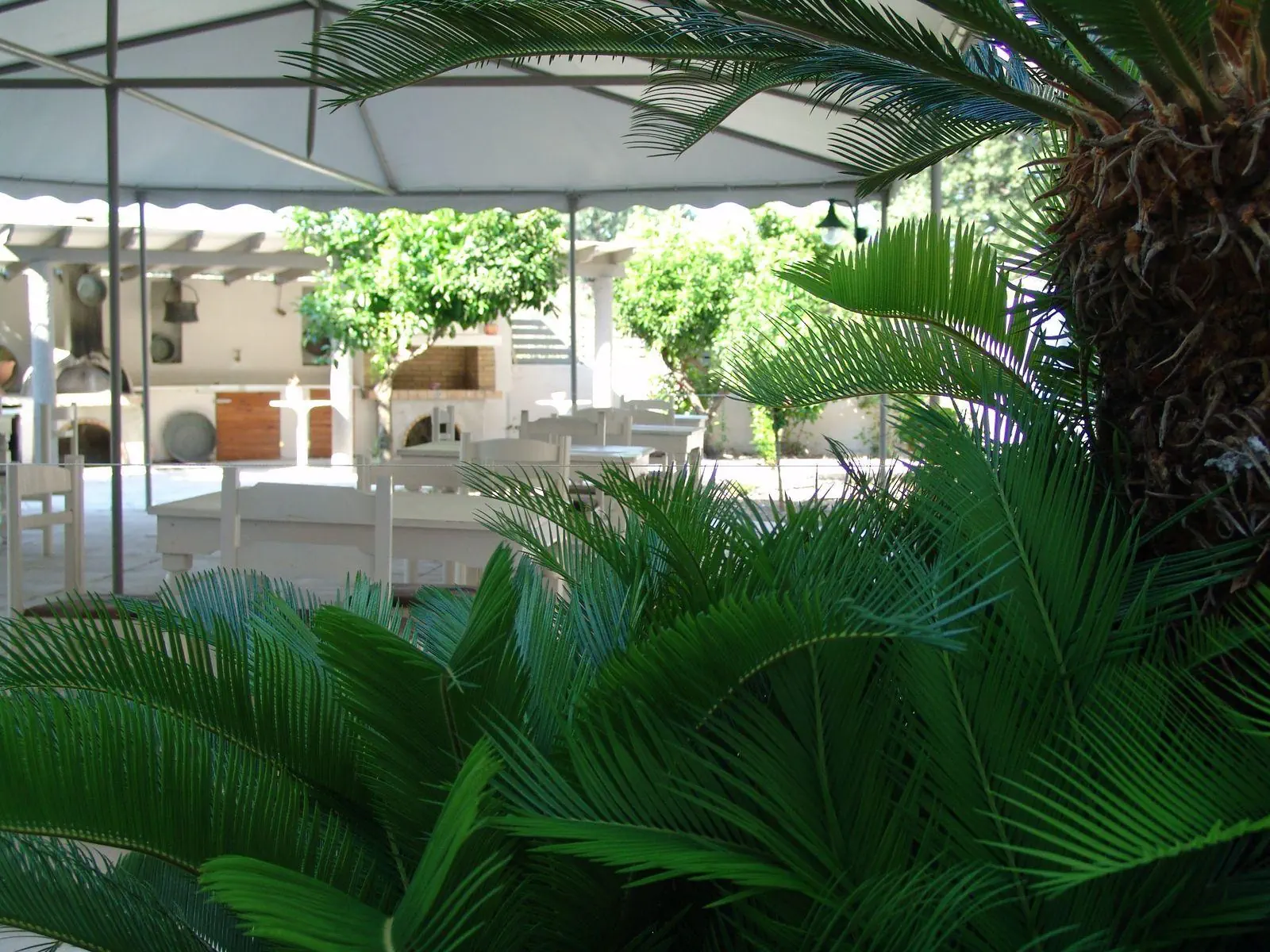HOTEL Ivory Hotel