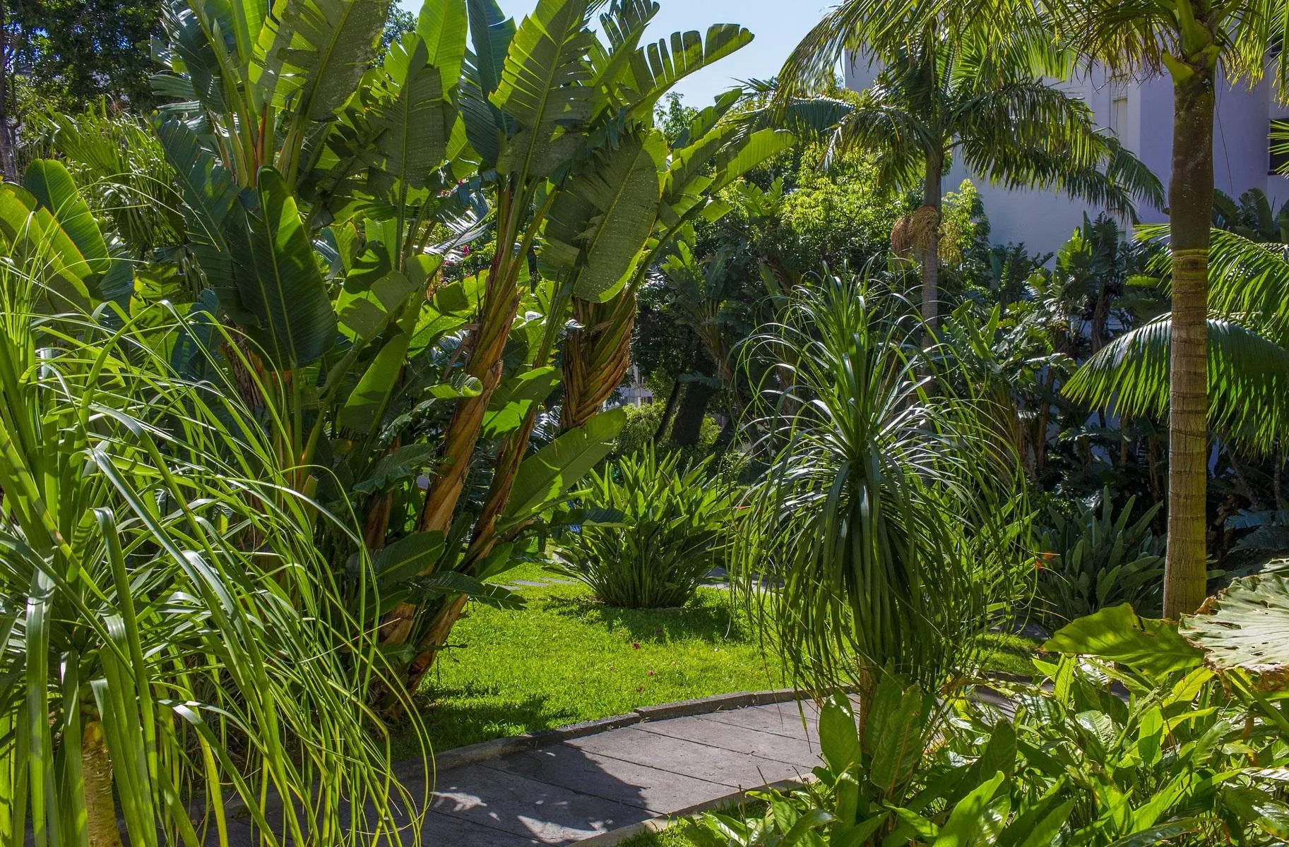 HOTEL Buganvilia