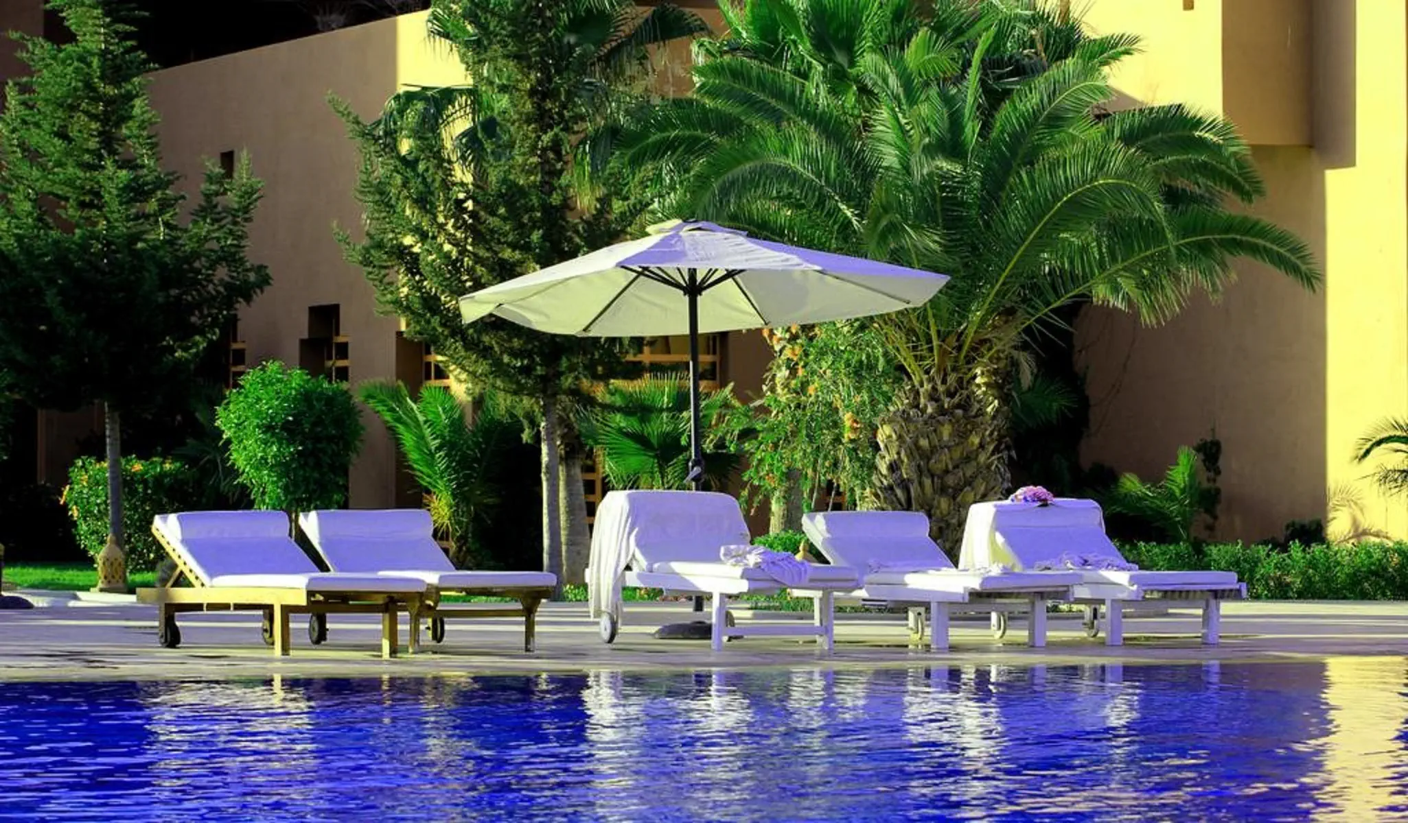 Palm Plaza - zdjęcie 4